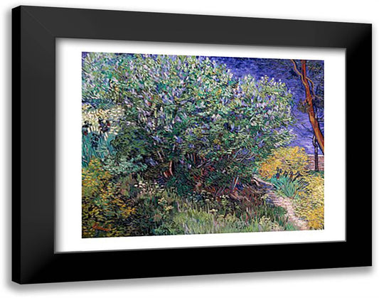 Lilac Bush, 1889 28x22 Black Modern Wood Framed Art Print Poster by Van Gogh, Vincent