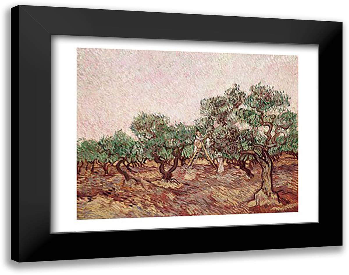 The Olive Pickers 28x22 Black Modern Wood Framed Art Print Poster by Van Gogh, Vincent