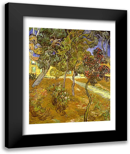 Garden of St. Paul's Hospital, 1889 22x28 Black Modern Wood Framed Art Print Poster by Van Gogh, Vincent