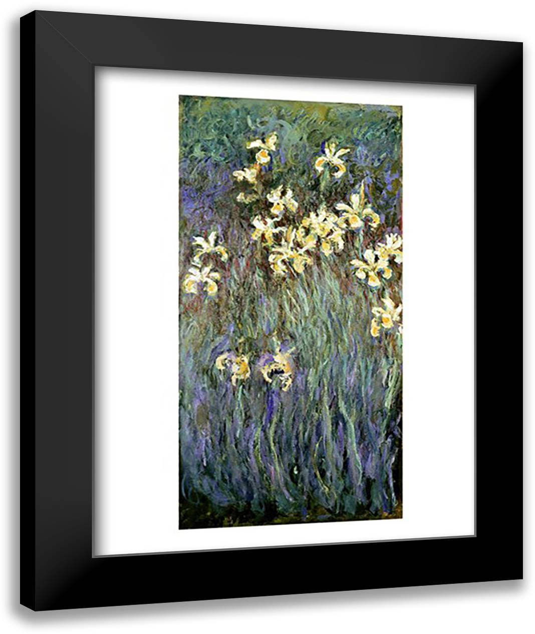 The Yellow Irises 22x28 Black Modern Wood Framed Art Print Poster by Monet, Claude