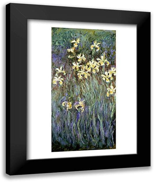The Yellow Irises 22x28 Black Modern Wood Framed Art Print Poster by Monet, Claude