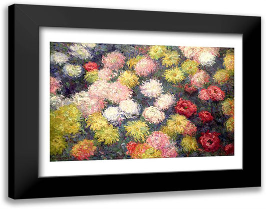 Chrysanthemums, 1897 28x22 Black Modern Wood Framed Art Print Poster by Monet, Claude