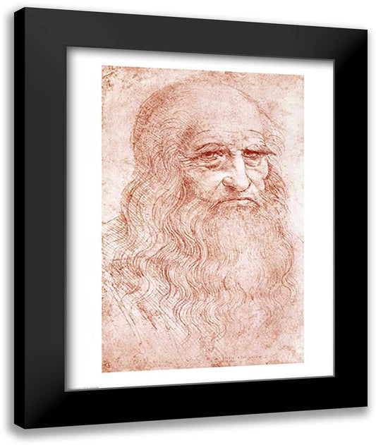 Portrait of a Bearded Man 22x28 Black Modern Wood Framed Art Print Poster by da Vinci, Leonardo