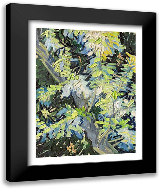 Acacia in Flowe 22x28 Black Modern Wood Framed Art Print Poster by Van Gogh, Vincent