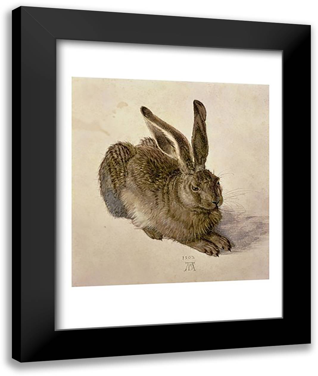 Young Hare, c.1502 22x28 Black Modern Wood Framed Art Print Poster by Durer, Albrecht