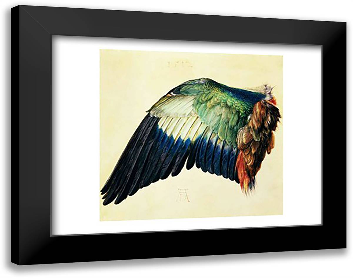 Wing of a Blue Roller, 1512 28x22 Black Modern Wood Framed Art Print Poster by Durer, Albrecht