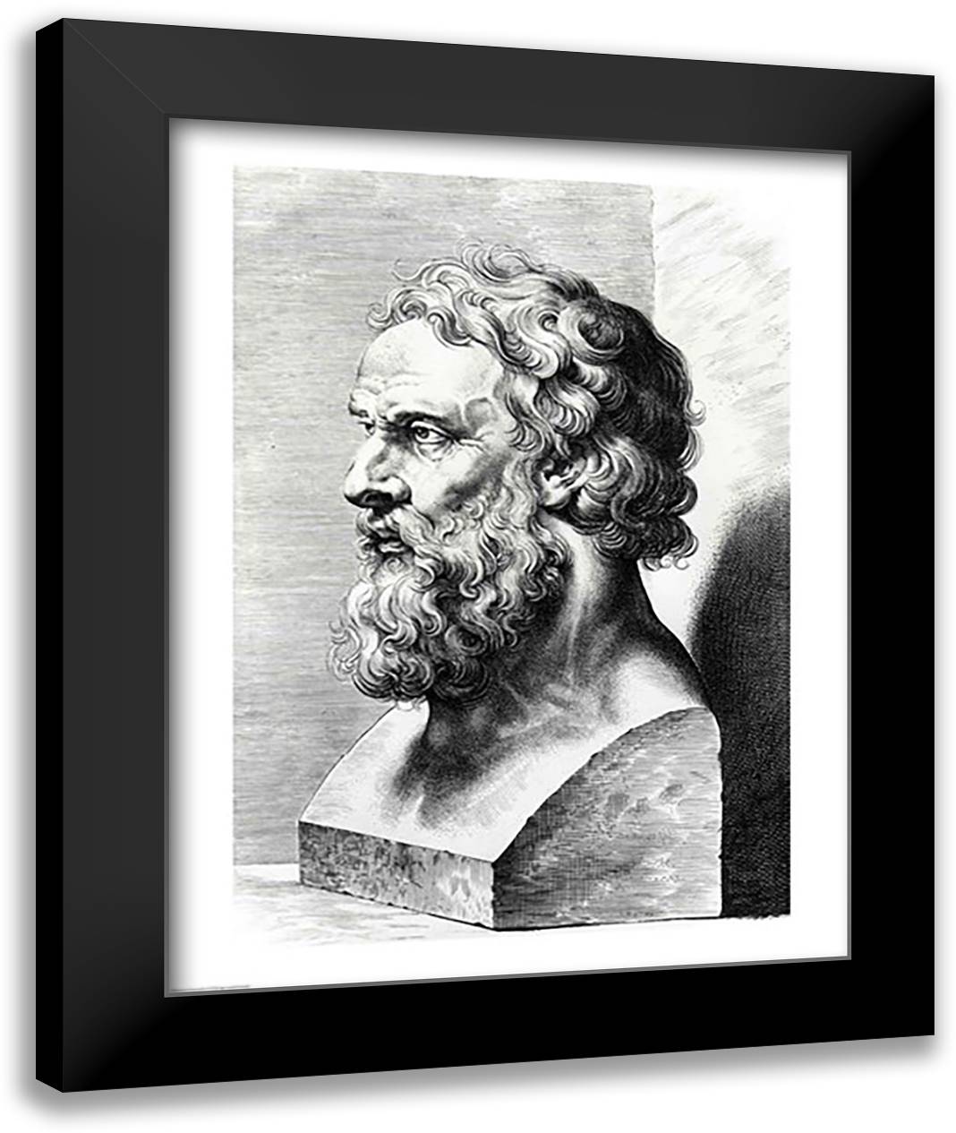 Bust of Plato 22x28 Black Modern Wood Framed Art Print Poster by Rubens, Peter Paul