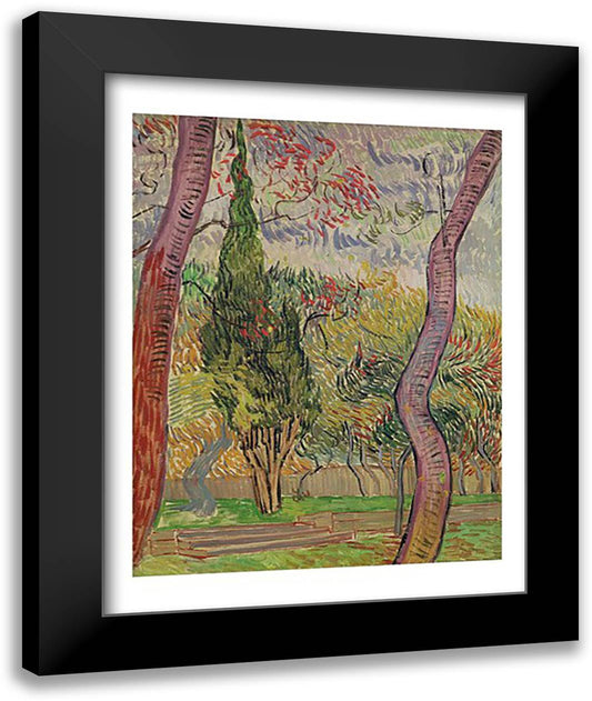 The Park at the Saint-Paul Hospital, 1889 22x28 Black Modern Wood Framed Art Print Poster by Van Gogh, Vincent