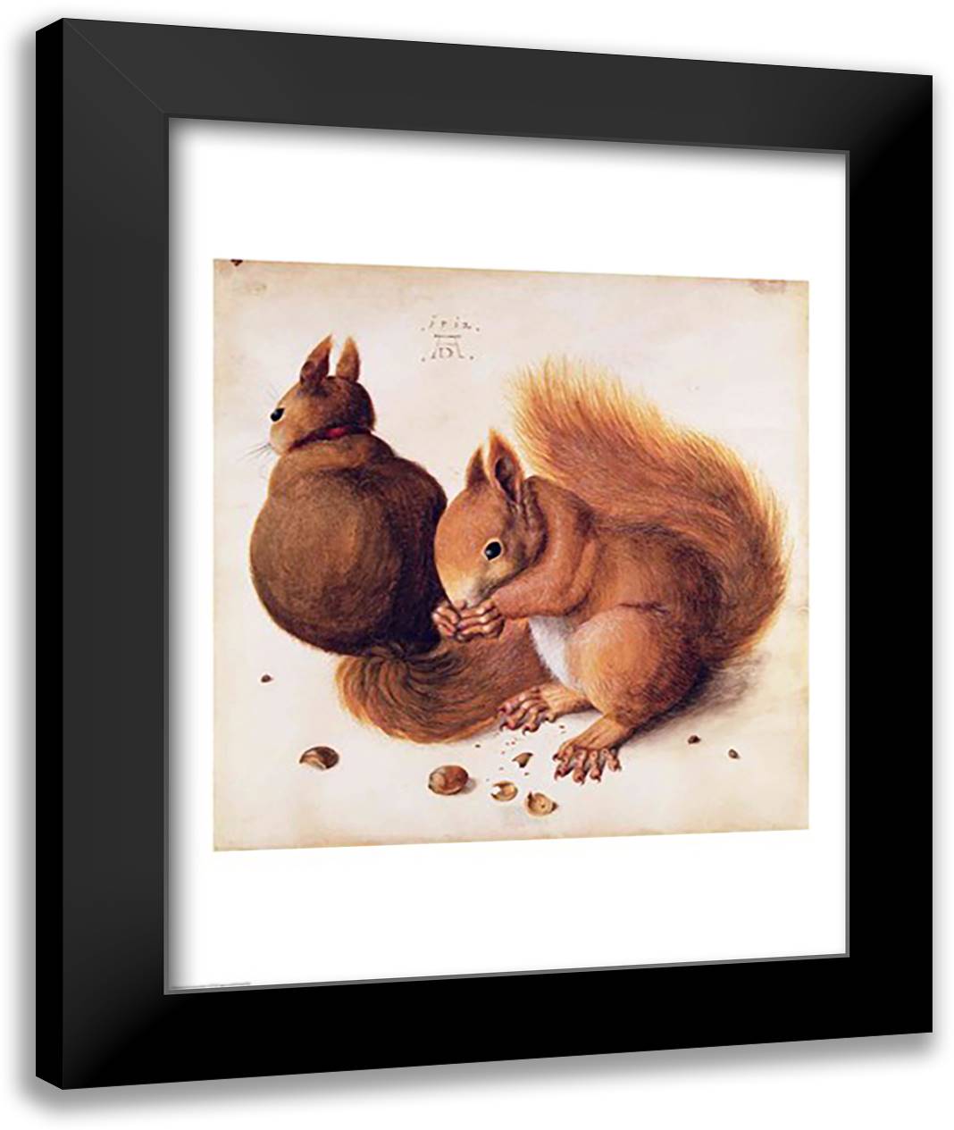 Squirrels, 1512 22x28 Black Modern Wood Framed Art Print Poster by Durer, Albrecht