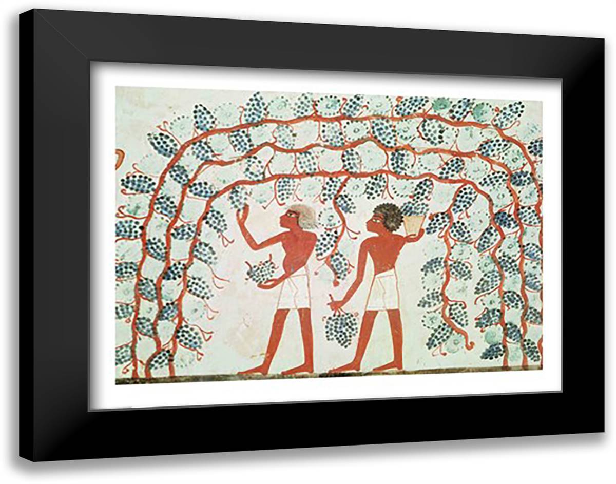 Picking grapes, from the Tomb of Nakht 28x22 Black Modern Wood Framed Art Print Poster