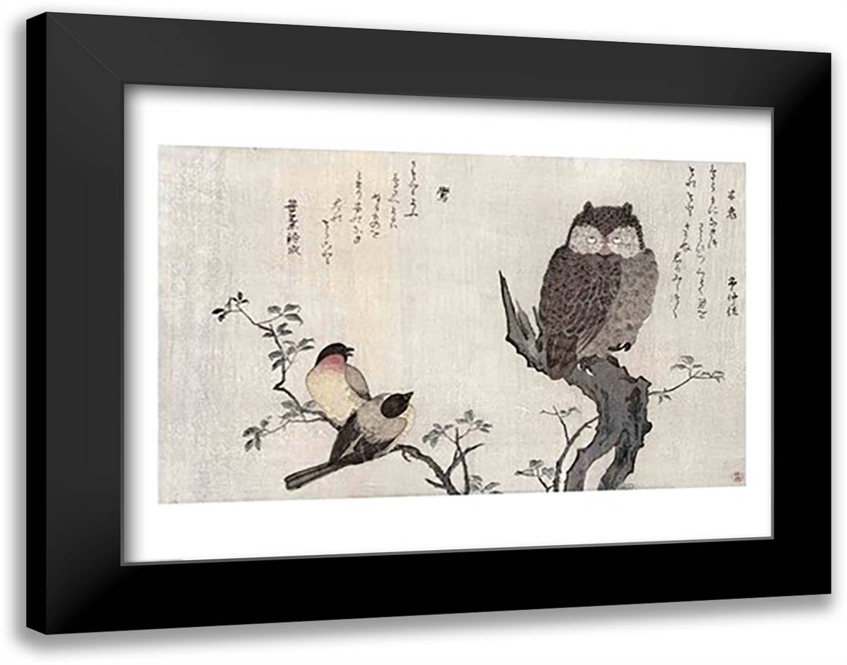 An Owl and two Eastern Bullfinches 28x22 Black Modern Wood Framed Art Print Poster