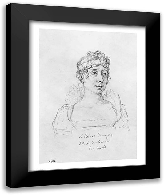 Caroline Bonaparte, Queen of Naples 22x28 Black Modern Wood Framed Art Print Poster by David, Jacques-Louis