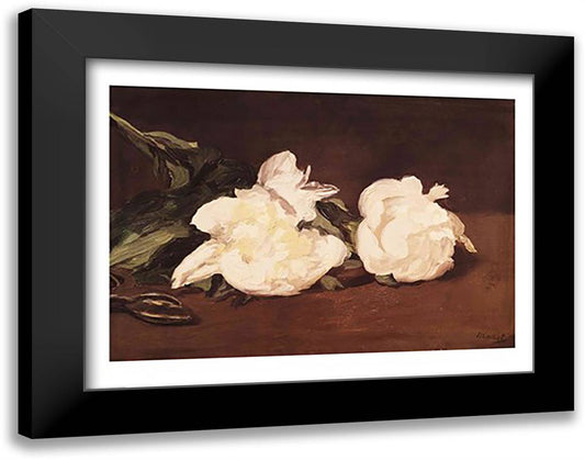Branch of White Peonies and Secateurs, 1864 28x22 Black Modern Wood Framed Art Print Poster by Manet, Edouard