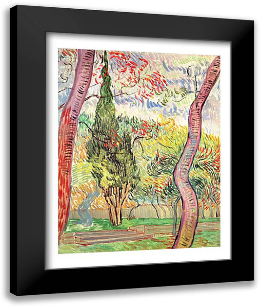 The Garden of St. Paul's Hospital, St. Remy, October 1889 22x28 Black Modern Wood Framed Art Print Poster by Van Gogh, Vincent