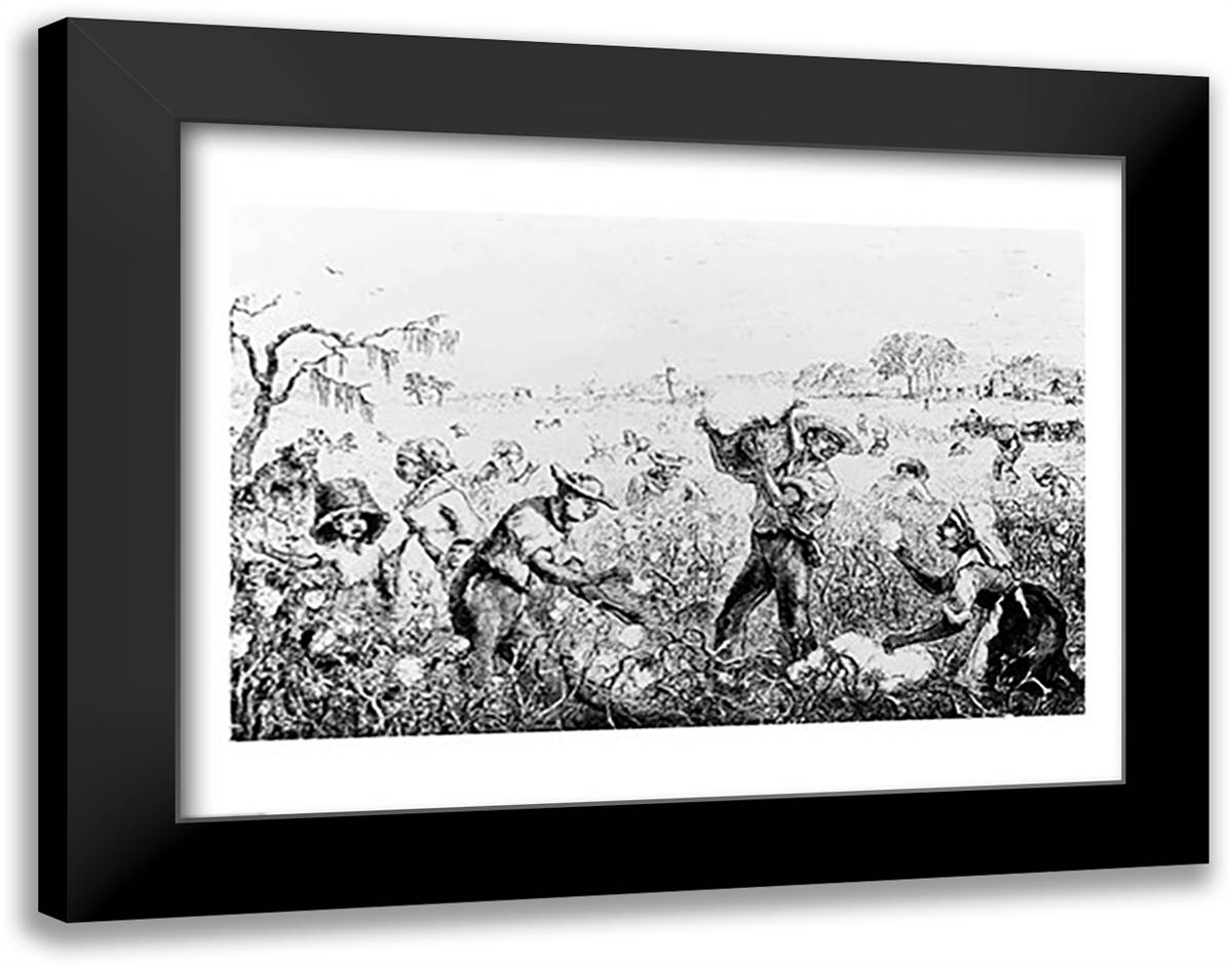 Picking Cotton on a Southern Plantation 28x22 Black Modern Wood Framed Art Print Poster