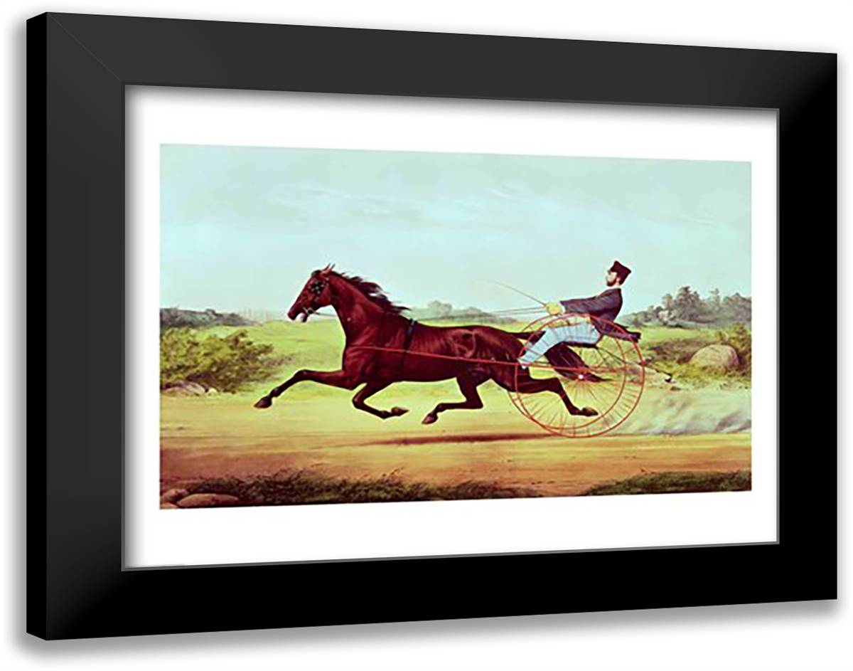 The Celebrated Horse 28x22 Black Modern Wood Framed Art Print Poster