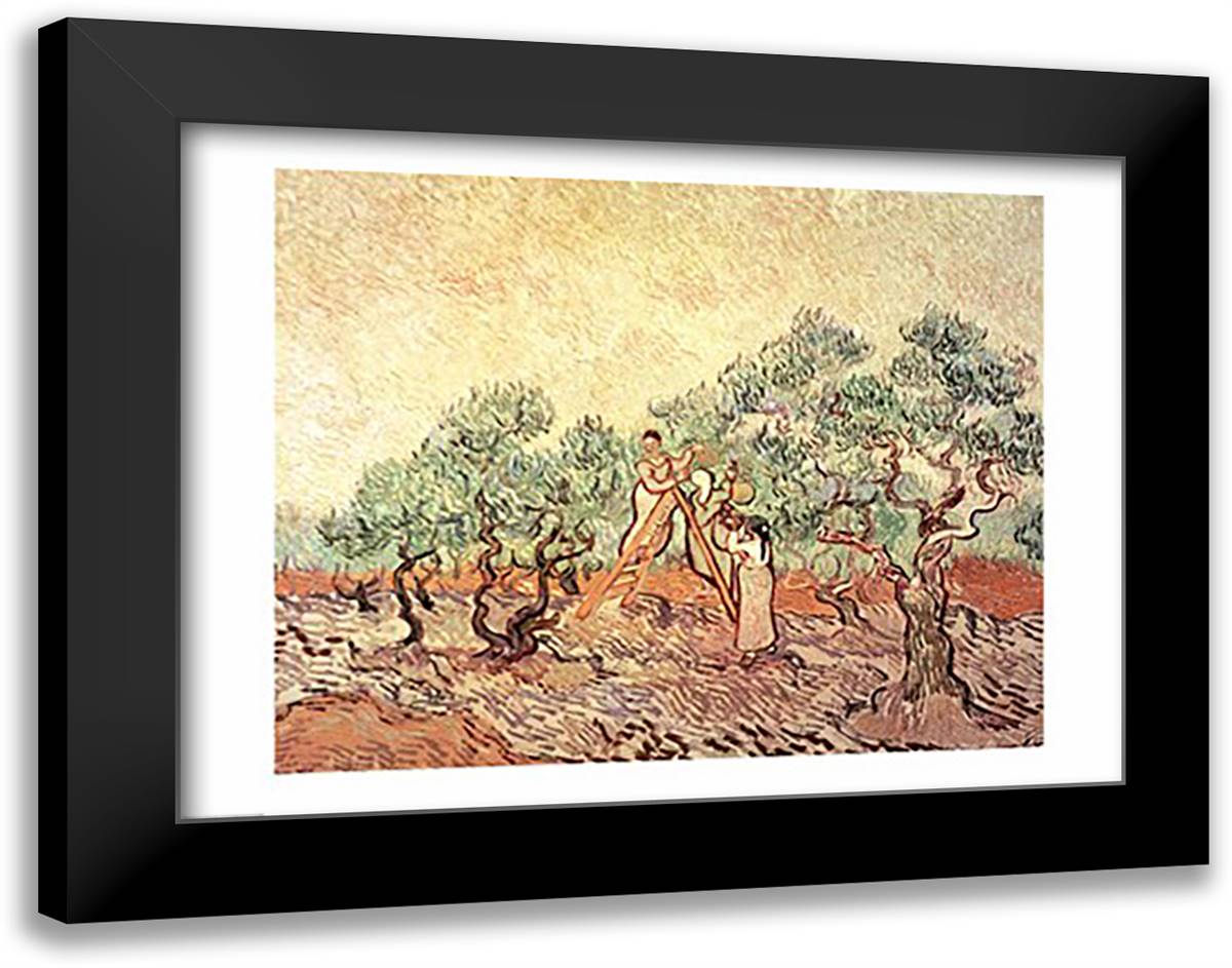 The Olive Grove, 1889 28x22 Black Modern Wood Framed Art Print Poster by Van Gogh, Vincent
