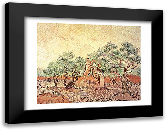The Olive Grove, 1889 28x22 Black Modern Wood Framed Art Print Poster by Van Gogh, Vincent