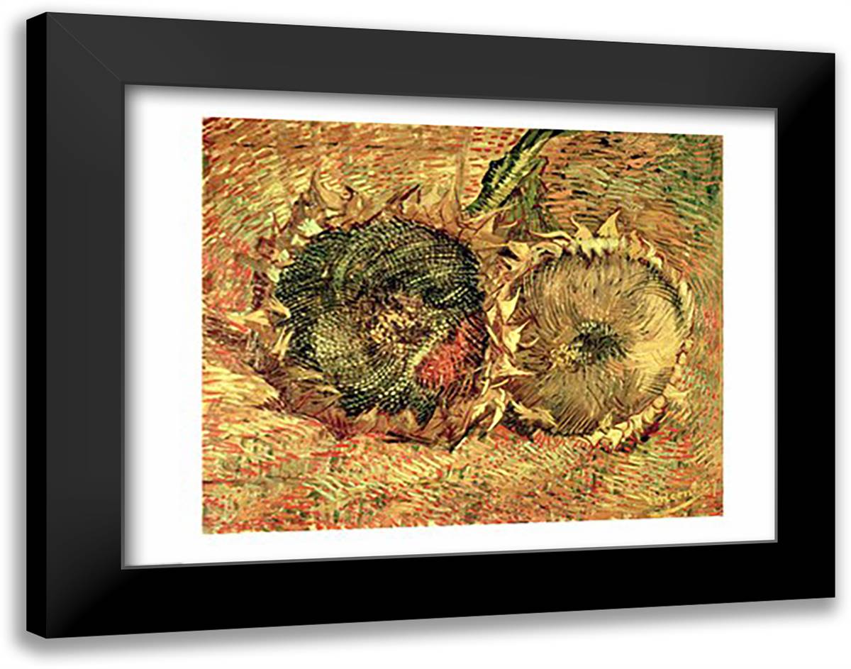 Two Cut Sunflowers, 1887 28x22 Black Modern Wood Framed Art Print Poster by Van Gogh, Vincent