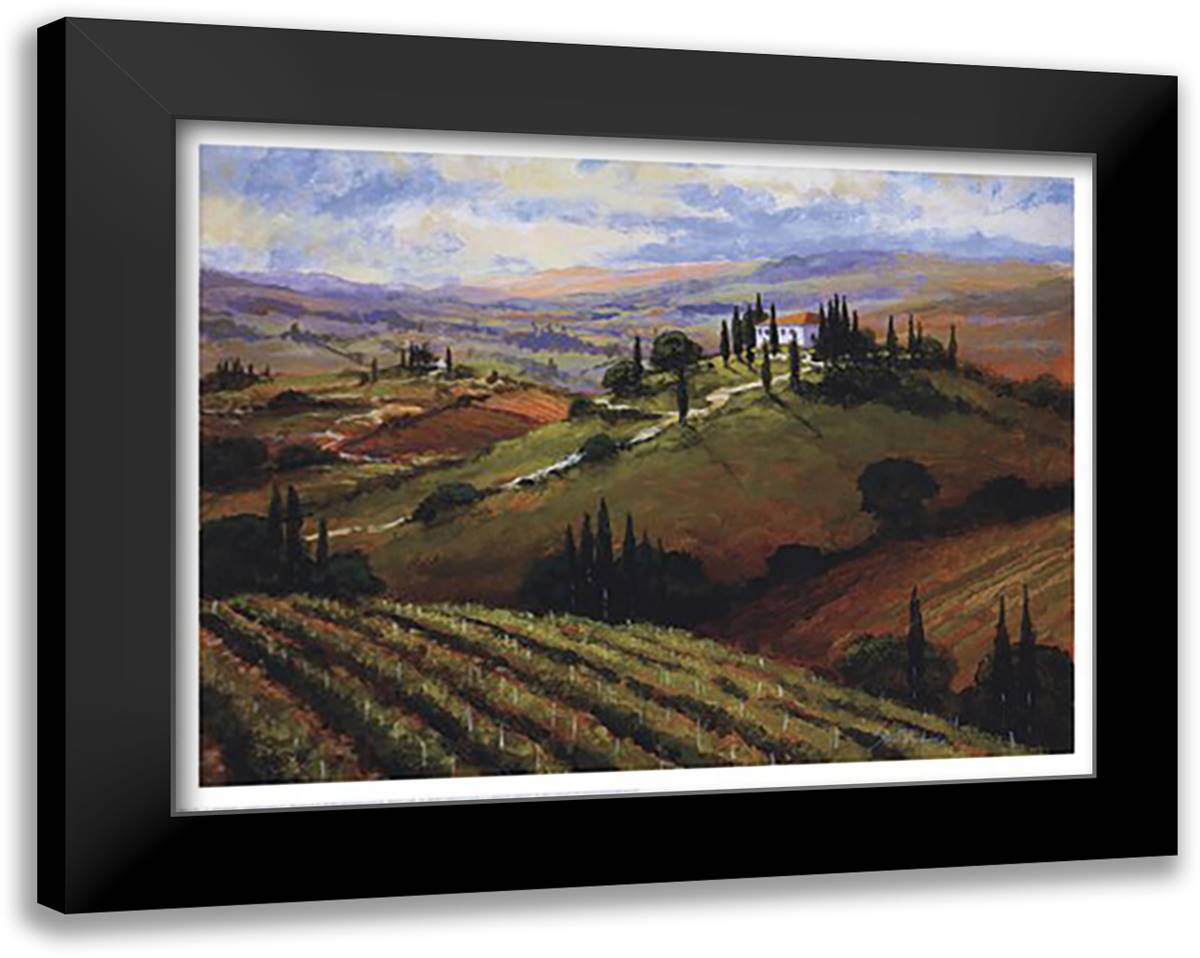 Tuscan Afternoon 21x17 Black Modern Wood Framed Art Print Poster by Thoms, Steve