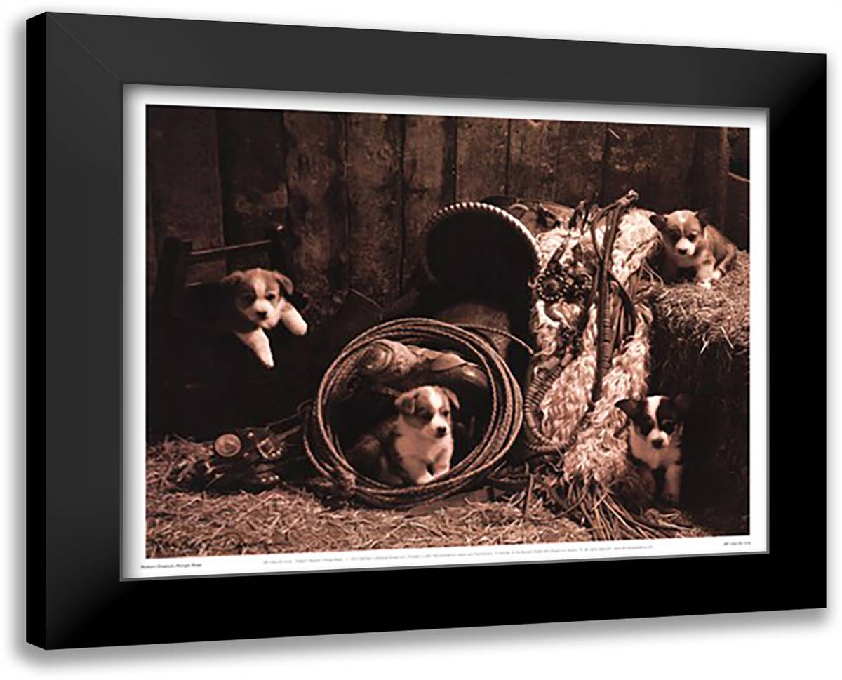 Korgie Boys 21x17 Black Modern Wood Framed Art Print Poster by Dawson, Robert