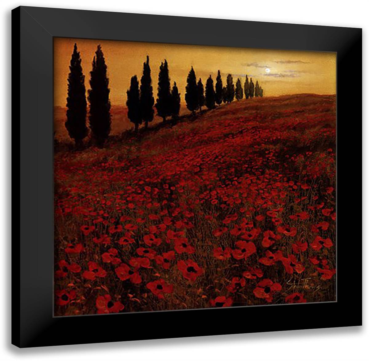Poppies 28x28 Black Modern Wood Framed Art Print Poster by Thoms, Steve