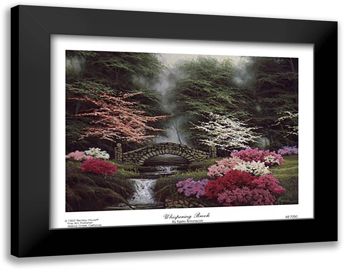 Whispering Brook 12x10 Black Modern Wood Framed Art Print Poster by Antonaccio, Egidio