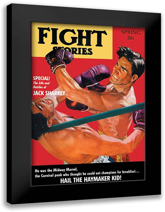 Hail the Haymaker Kid 16x22 Black Modern Wood Framed Art Print Poster