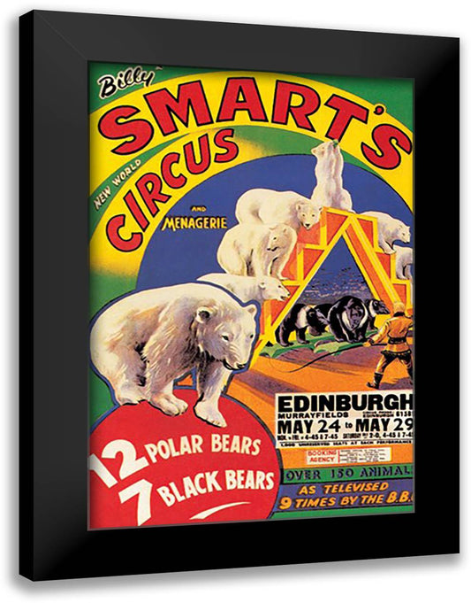 Billy Smart's New World Circus and Menagerie: 12 Polar Bears, 7 Black Bears 16x22 Black Modern Wood Framed Art Print Poster