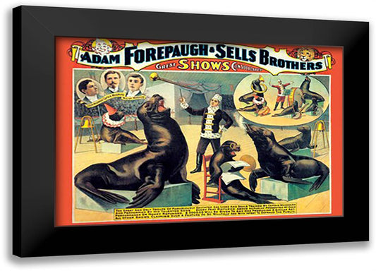 Troupe of Marvelously Educated Sea Lions and Seals: Adam Forepaugh and Sells Brothers Shows 22x16 Black Modern Wood Framed Art Print Poster