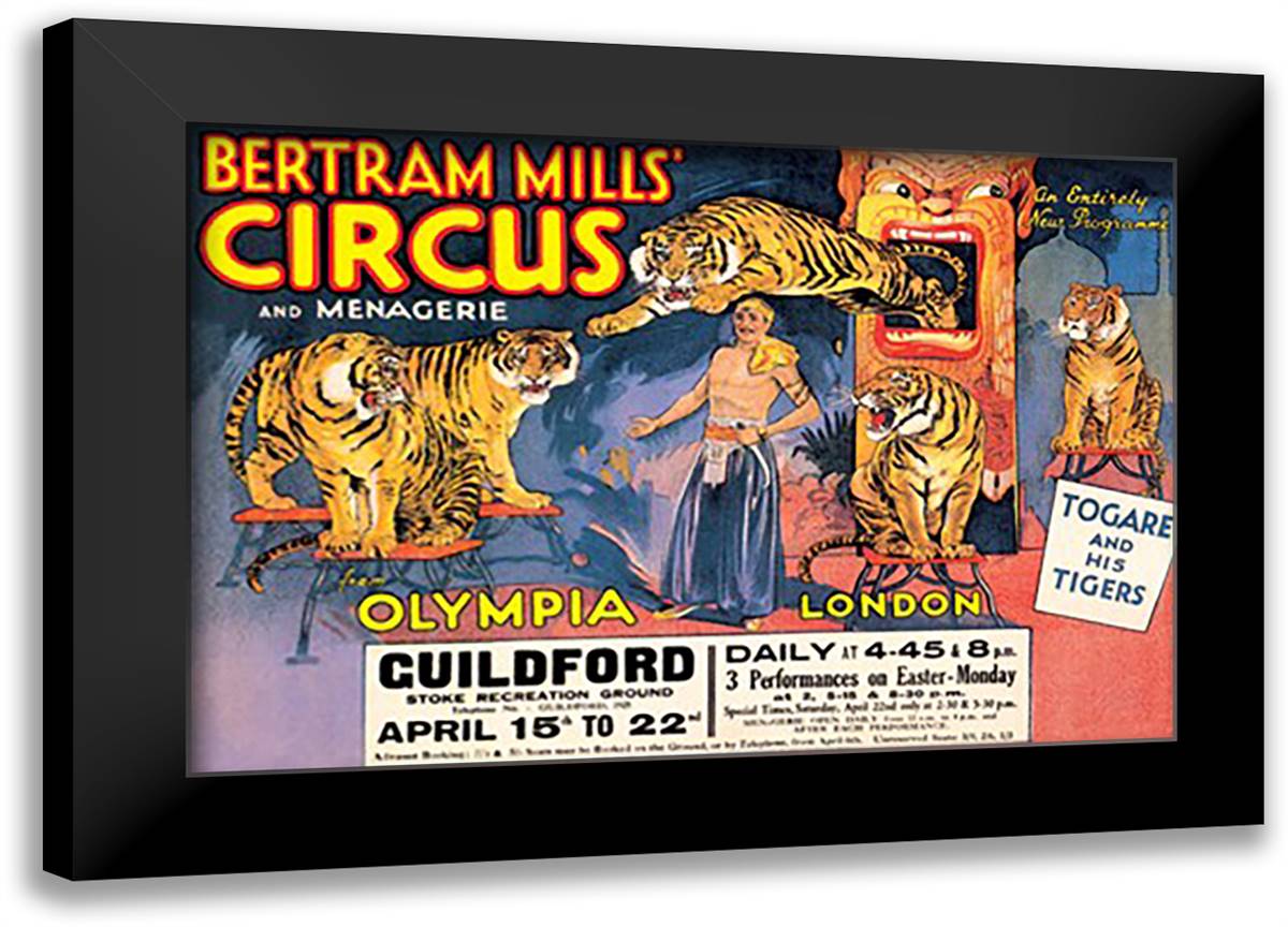 Togare and his Tigers: Bertram Mills' Circus and Menagerie 22x16 Black Modern Wood Framed Art Print Poster