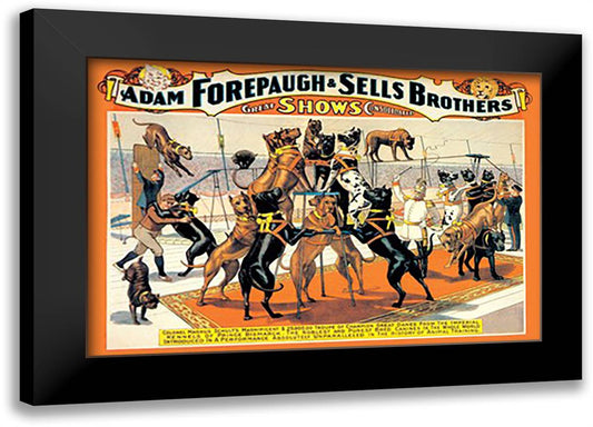 Troupe of Champion Great Danes: Adam Forepaugh and Sells Brothers Great Shows Consolidated 22x16 Black Modern Wood Framed Art Print Poster