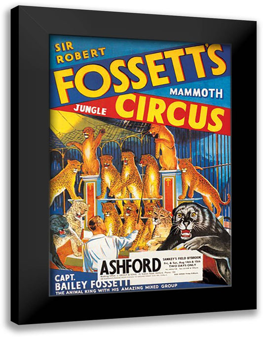 Sir Robert Fossett's Mammoth Jungle Circus 16x22 Black Modern Wood Framed Art Print Poster