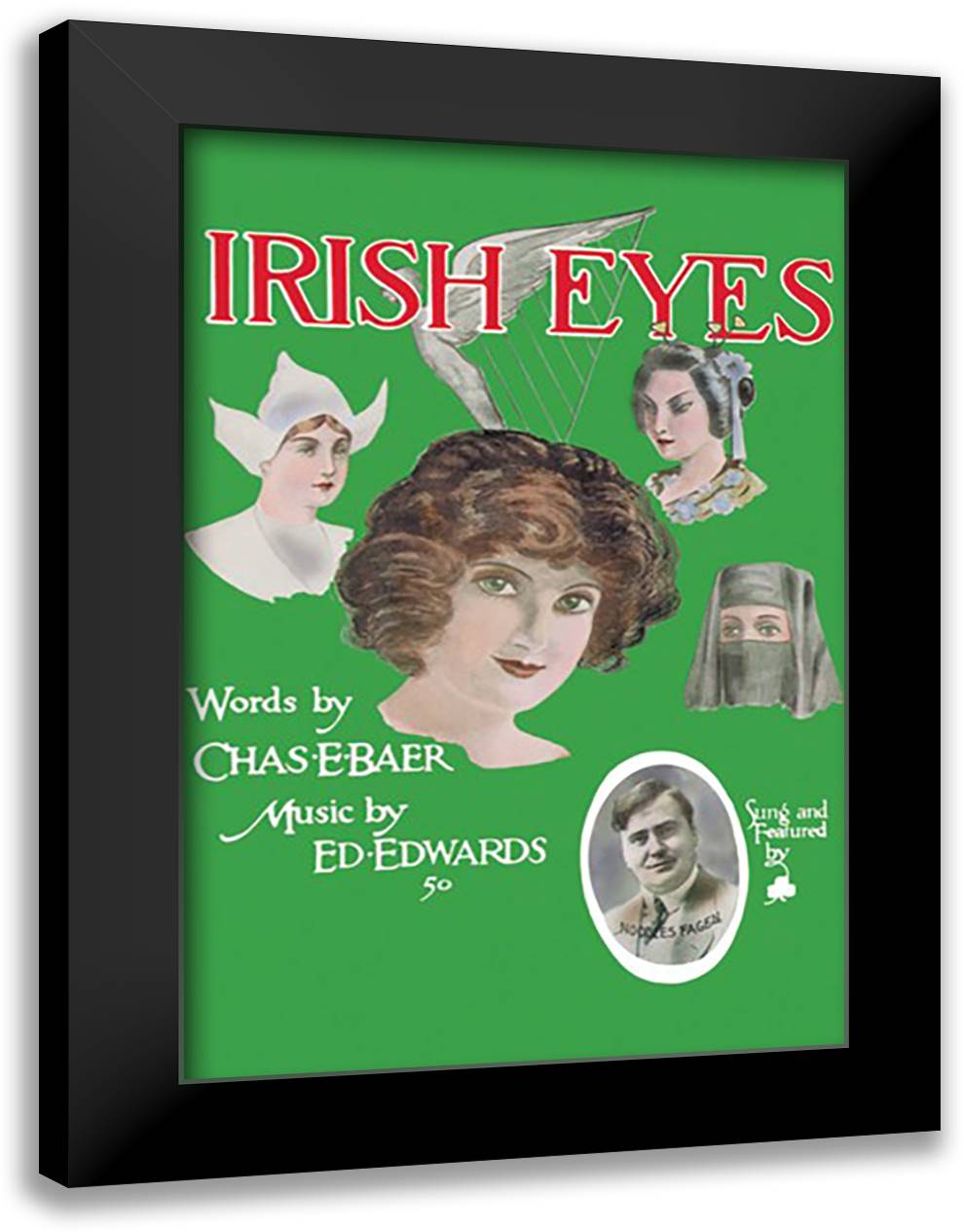Irish Eyes 16x22 Black Modern Wood Framed Art Print Poster