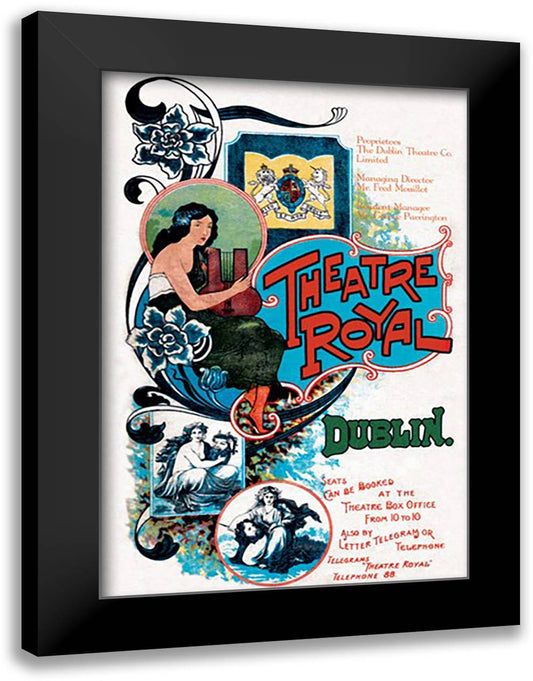 Theatre Royal Dublin 16x22 Black Modern Wood Framed Art Print Poster