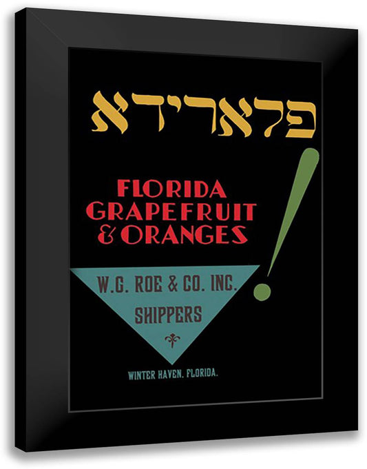 Florida Grapefruit and Oranges 16x22 Black Modern Wood Framed Art Print Poster