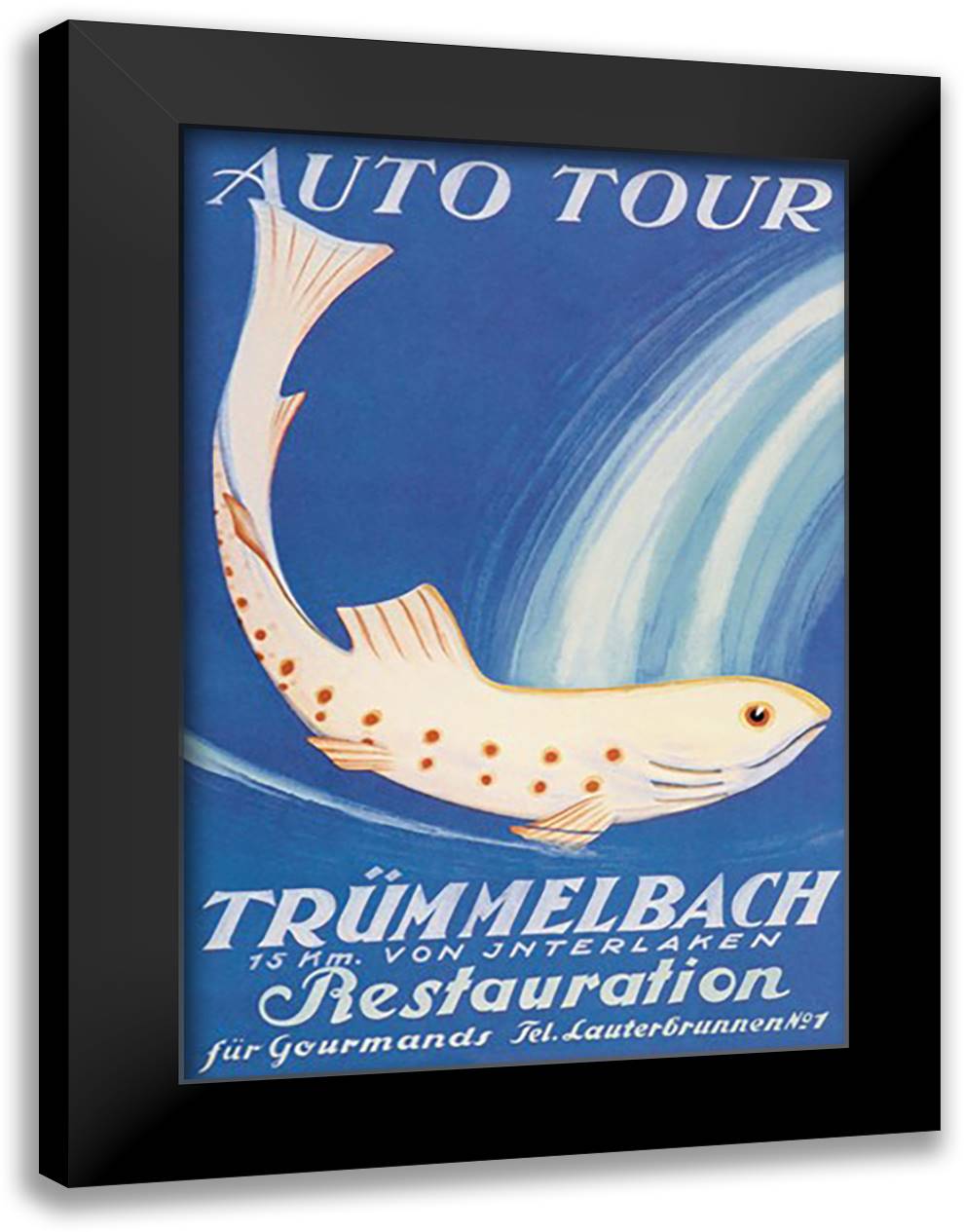 Auto Tour Trummelbach 16x22 Black Modern Wood Framed Art Print Poster by Trieb, Anton