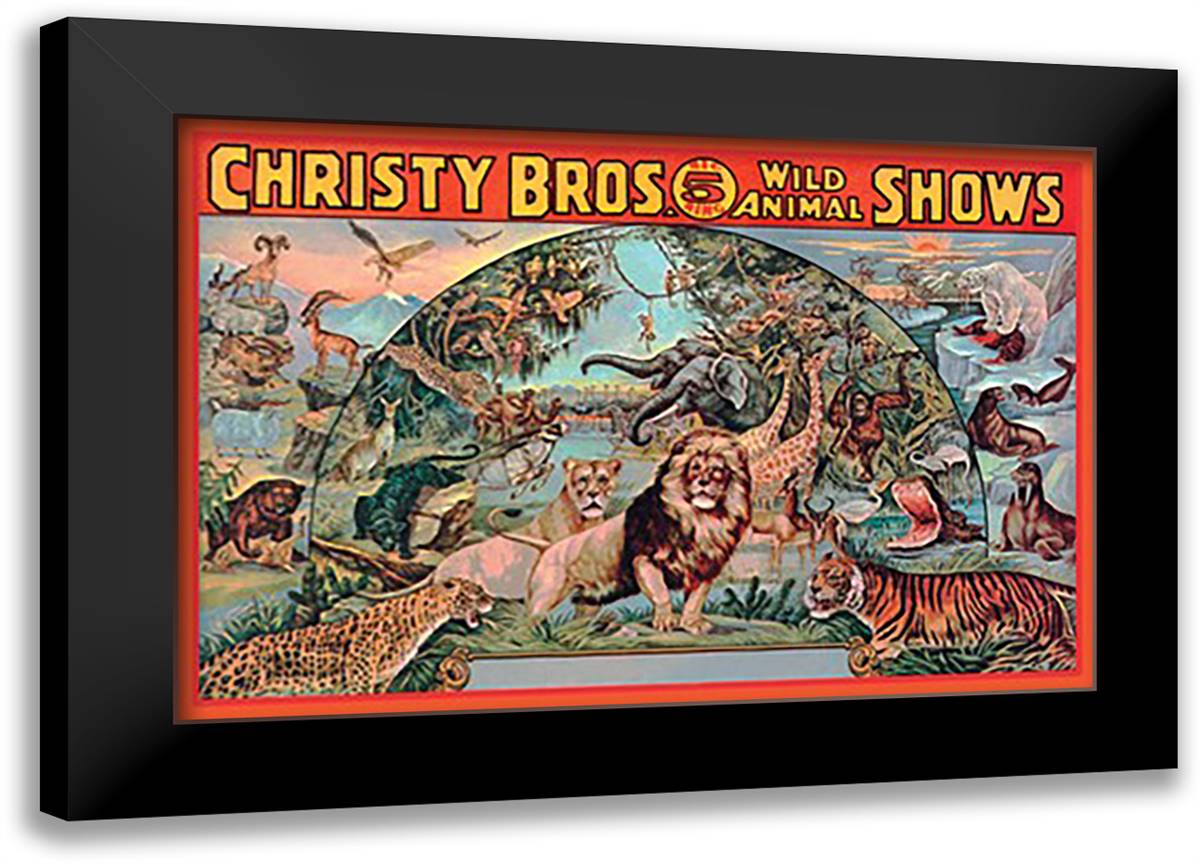 Christy Bros. 5 Ring Wild Animal Shows 22x16 Black Modern Wood Framed Art Print Poster