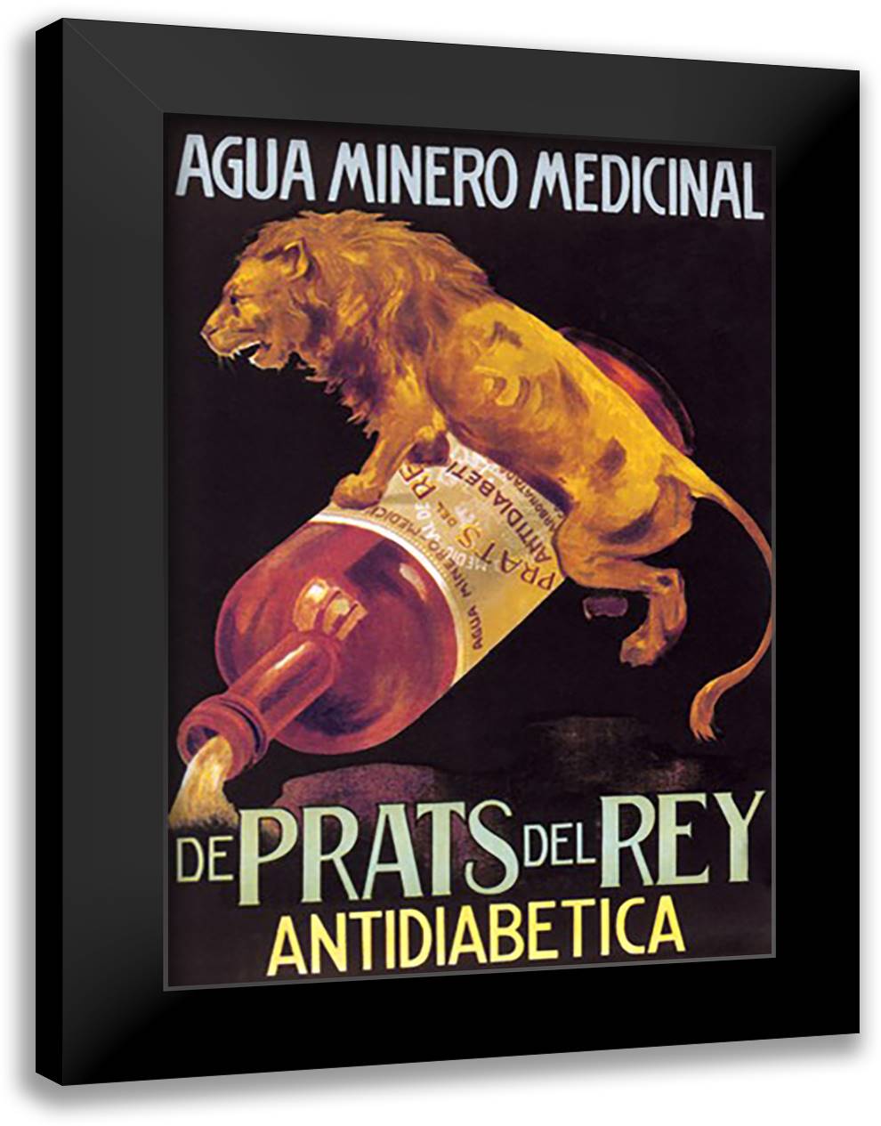 Agua Minero Medicinal de Prats del Rey 16x22 Black Modern Wood Framed Art Print Poster