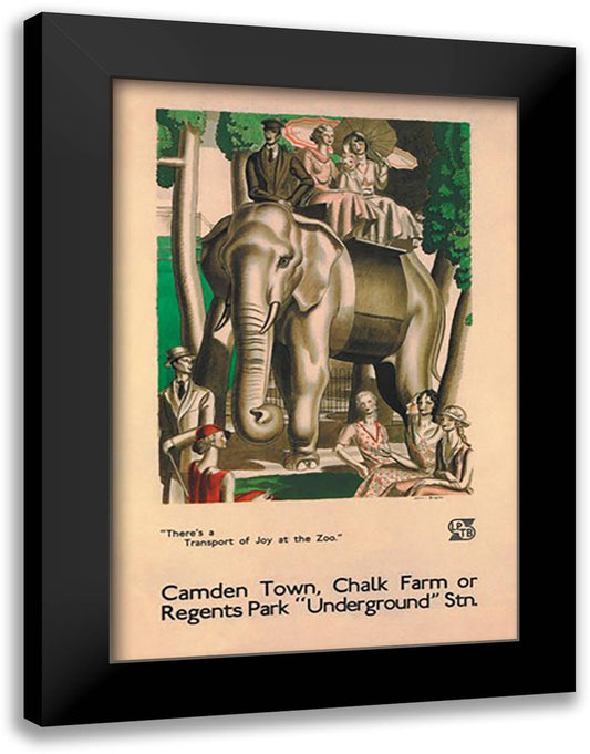 There's a Transport of Joy at the Zoo 16x22 Black Modern Wood Framed Art Print Poster