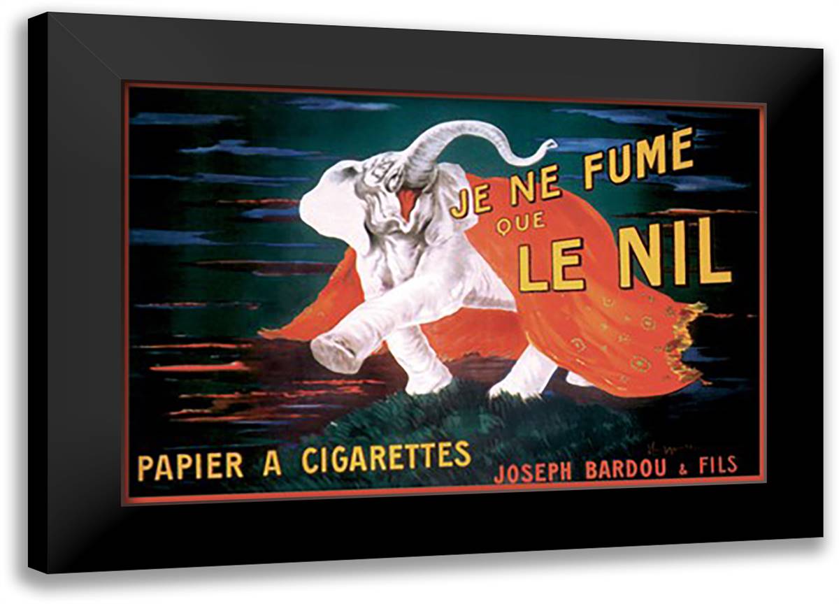 Je Ne Fume Que Le Nil 22x16 Black Modern Wood Framed Art Print Poster