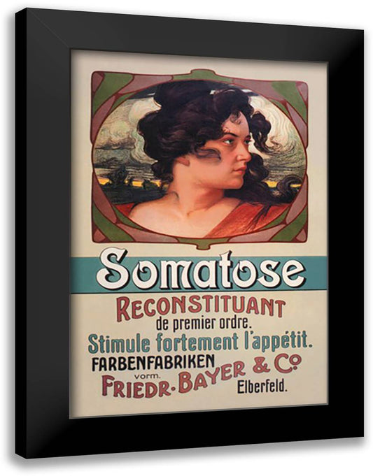 Somatose 16x22 Black Modern Wood Framed Art Print Poster