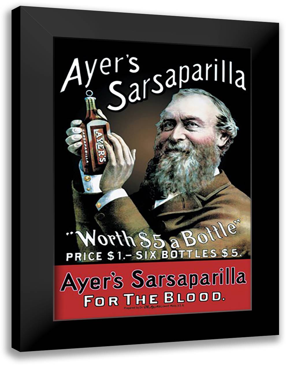 Ayer's Sarsaparilla 16x22 Black Modern Wood Framed Art Print Poster