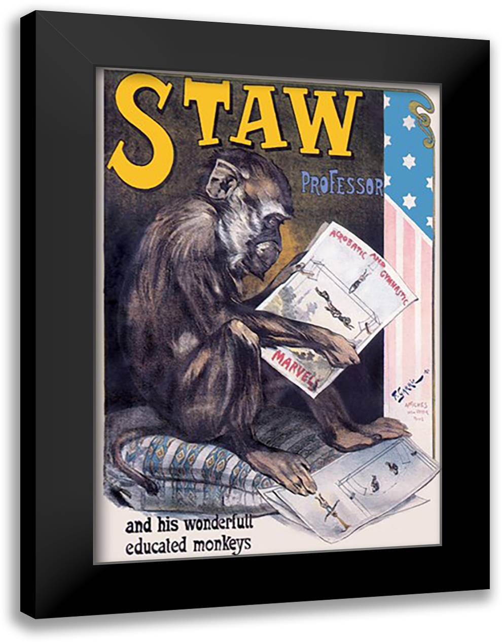 Professor Staw and His Wonderful Educated Monkeys 16x22 Black Modern Wood Framed Art Print Poster