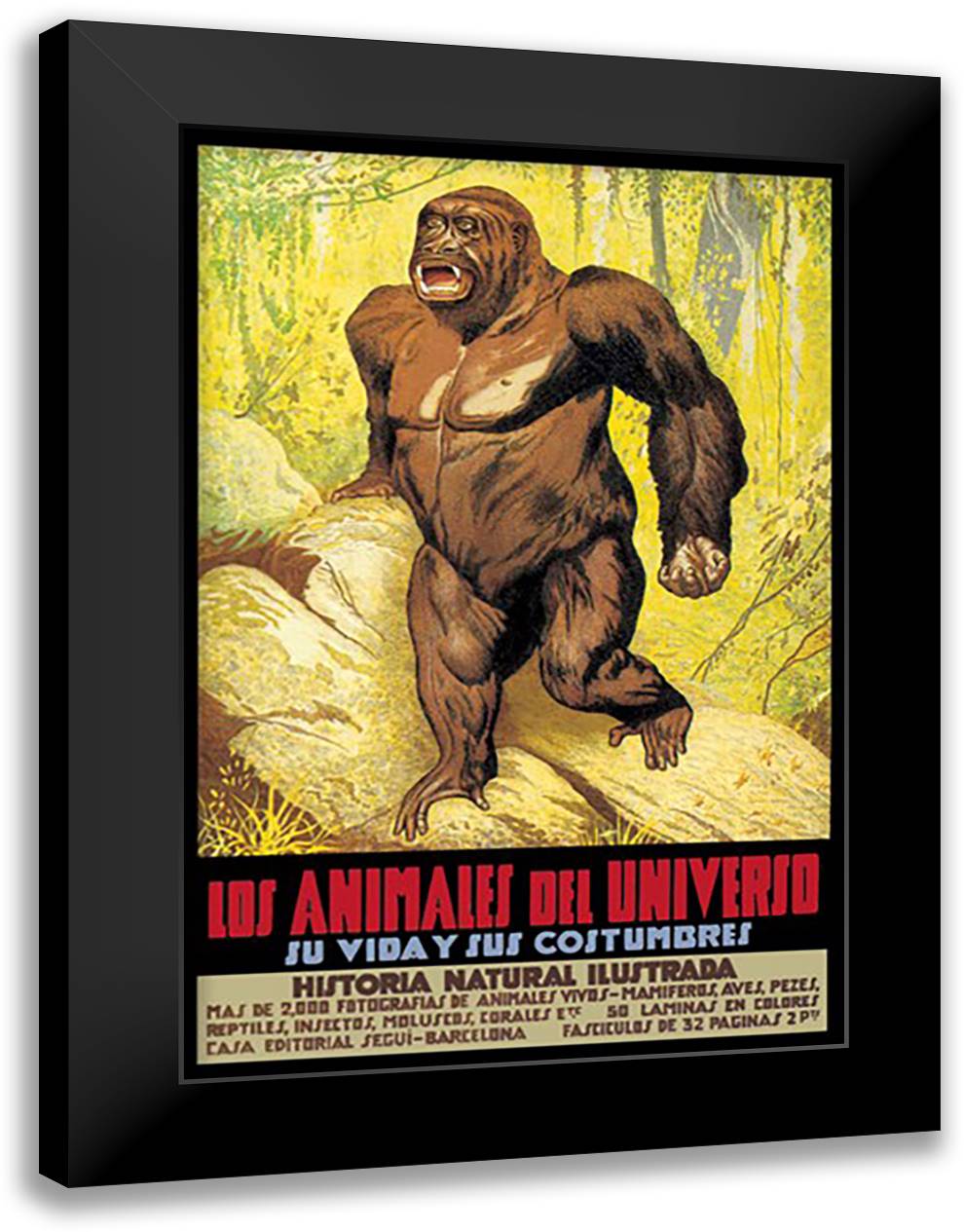 Los Animales del Universo 16x22 Black Modern Wood Framed Art Print Poster