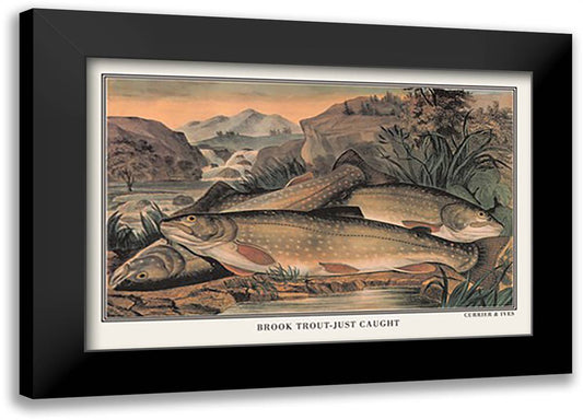 Brook Trout: Just Caught 22x16 Black Modern Wood Framed Art Print Poster