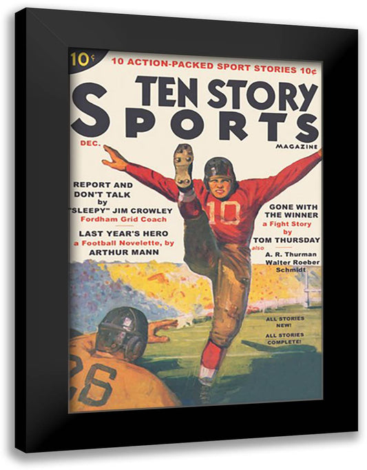 Ten Story Sports 16x22 Black Modern Wood Framed Art Print Poster