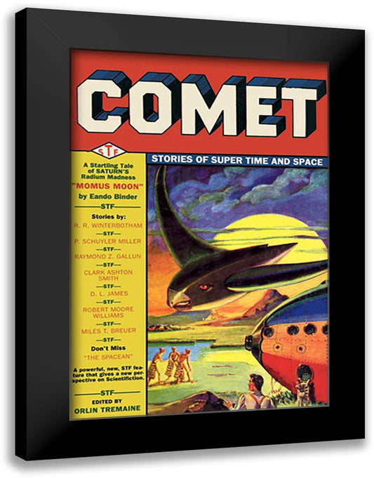 Comet: Bird Spaceship 16x22 Black Modern Wood Framed Art Print Poster