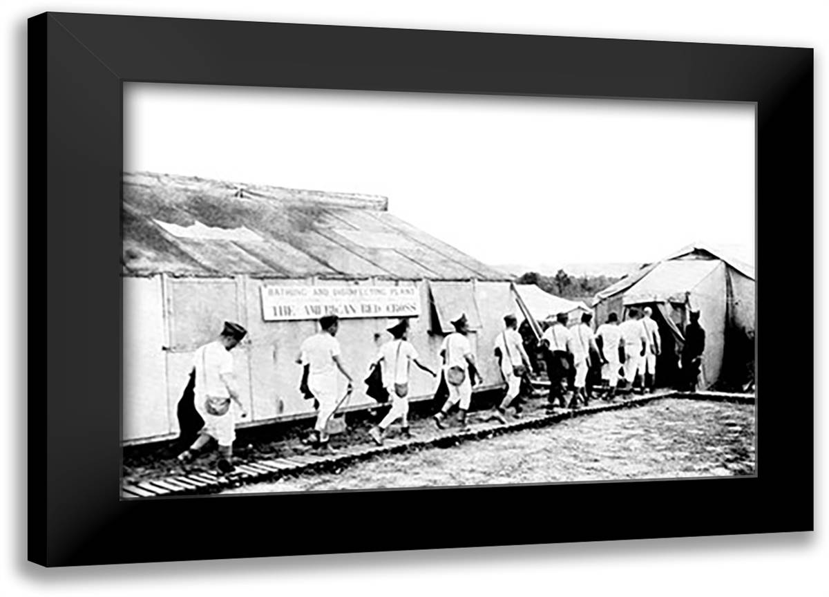 Getting Deloused 22x16 Black Modern Wood Framed Art Print Poster