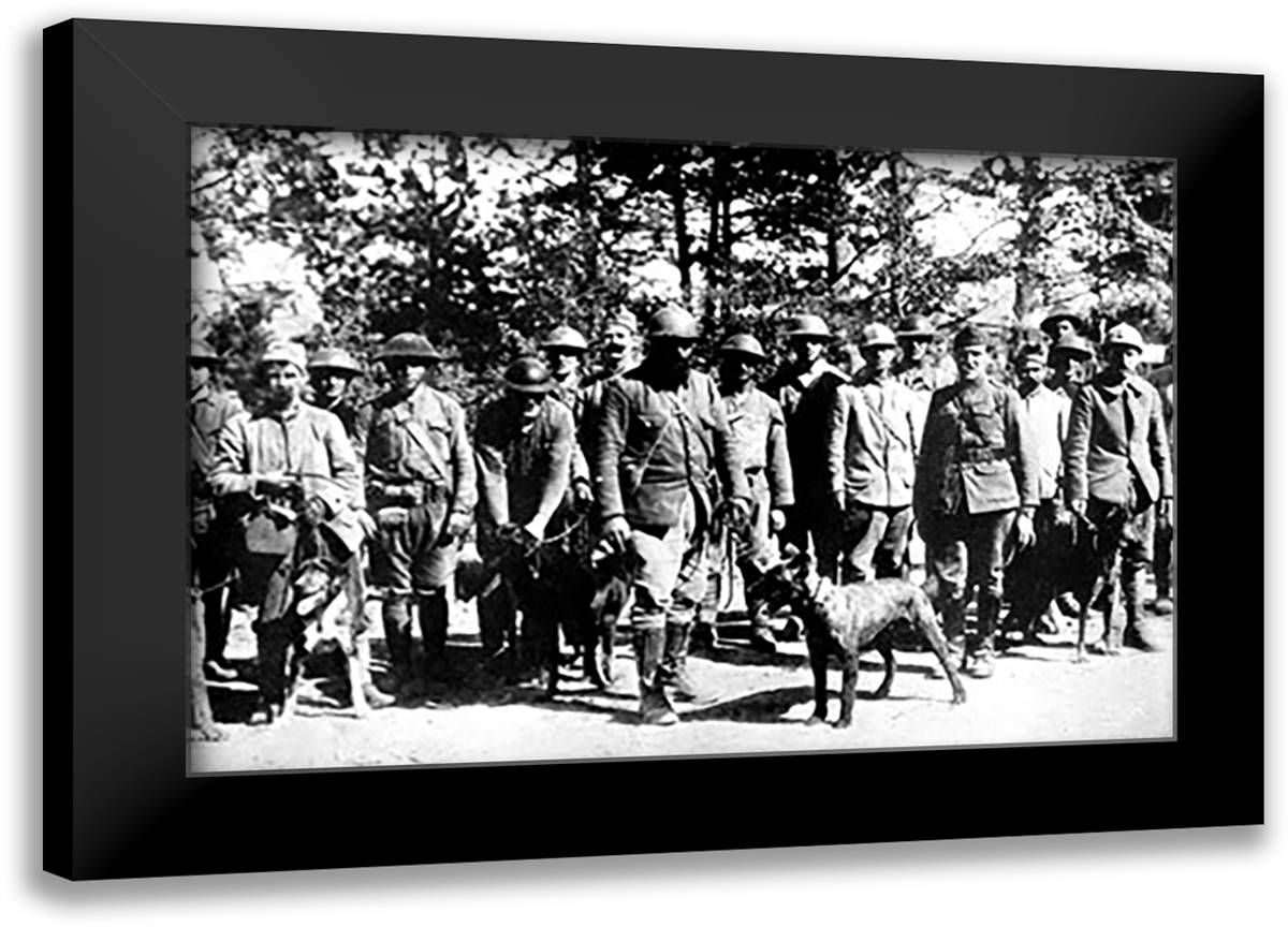 Dogs of War 22x16 Black Modern Wood Framed Art Print Poster